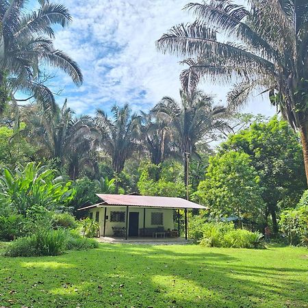 Four Monkeys Eco Lodge Jungle & Beach - The House Cabo Matapalo Exterior photo