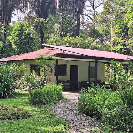 Four Monkeys Eco Lodge Jungle & Beach - The House Cabo Matapalo Exterior photo