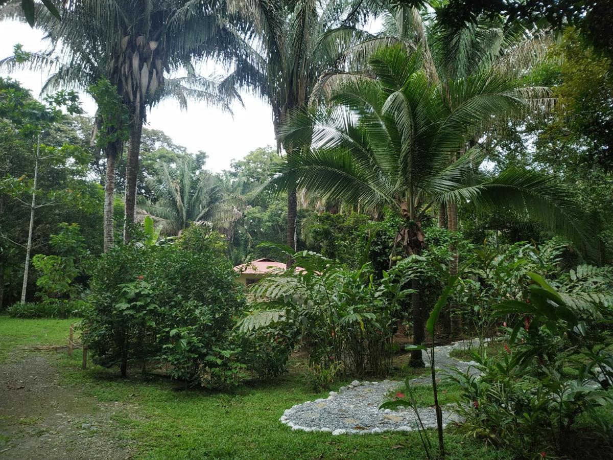 Four Monkeys Eco Lodge Jungle & Beach - The House Cabo Matapalo Exterior photo