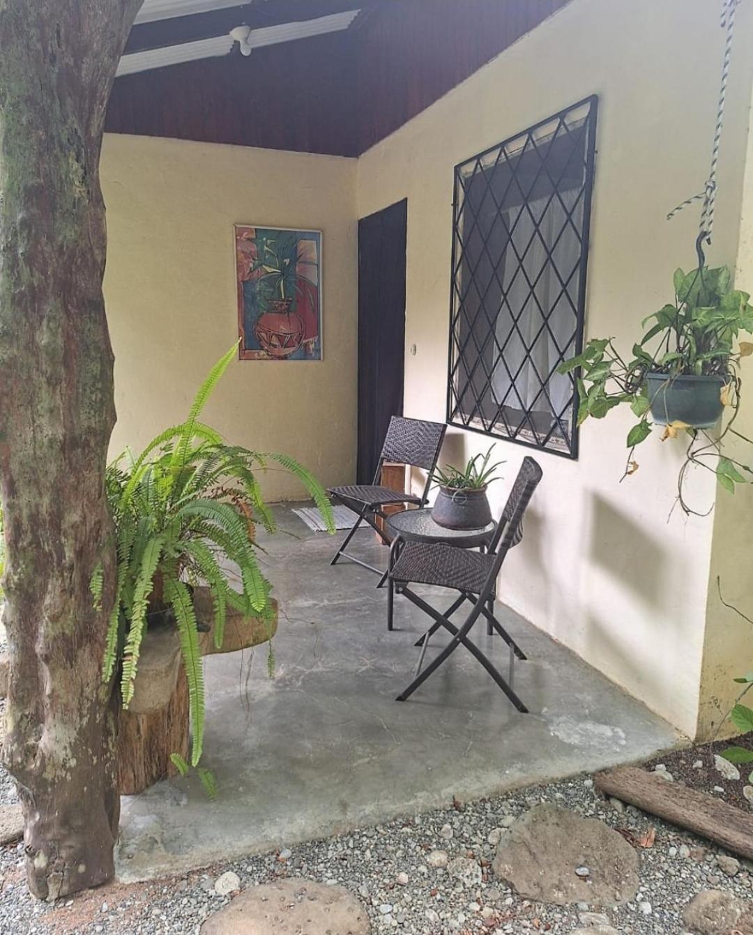 Four Monkeys Eco Lodge Jungle & Beach - The House Cabo Matapalo Exterior photo